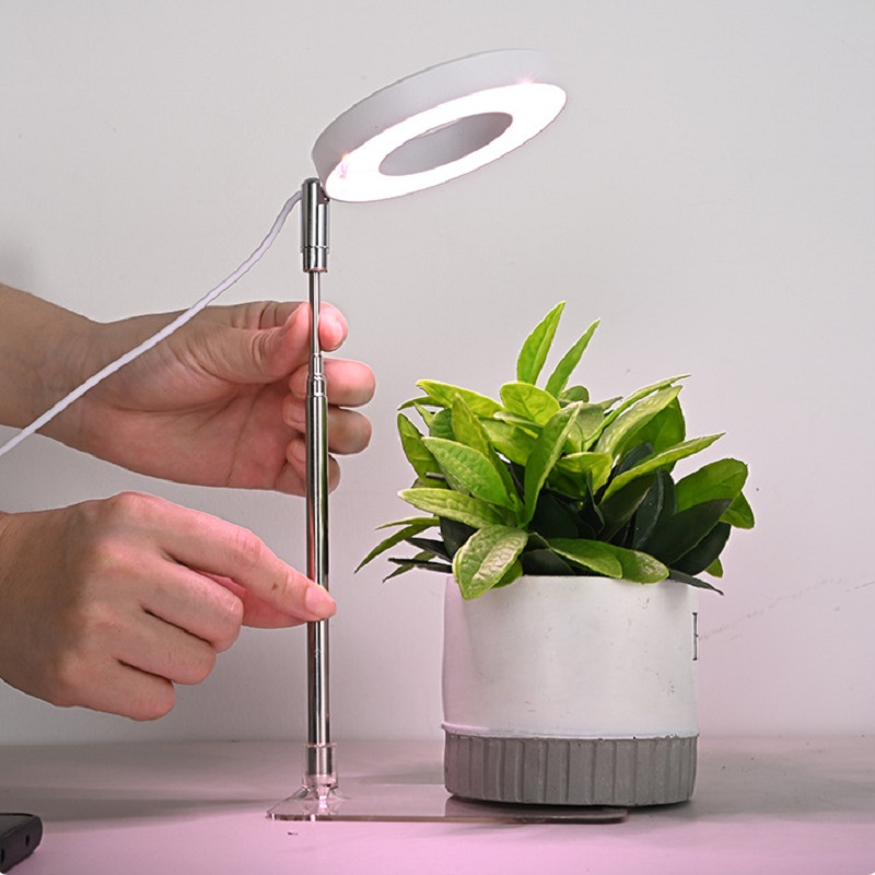Indoor Herb Garden - LED Grow Light Full Spectrum Plant