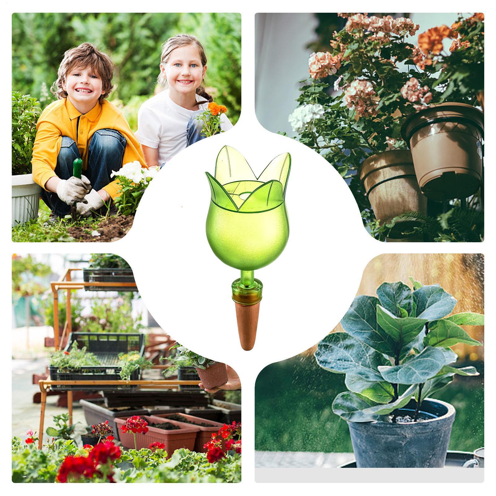 Plant Self Watering Devices Pl - đánh giá và giá Self Watering Planter