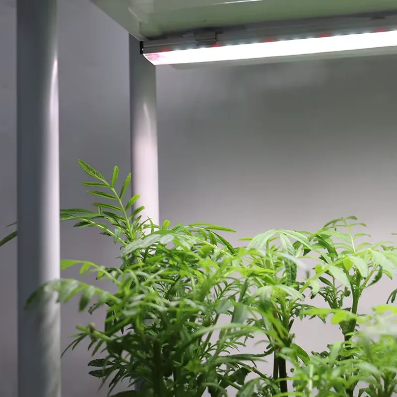 Movable Vertical Grow 3 Level  - đánh giá và giá Vertical Planter