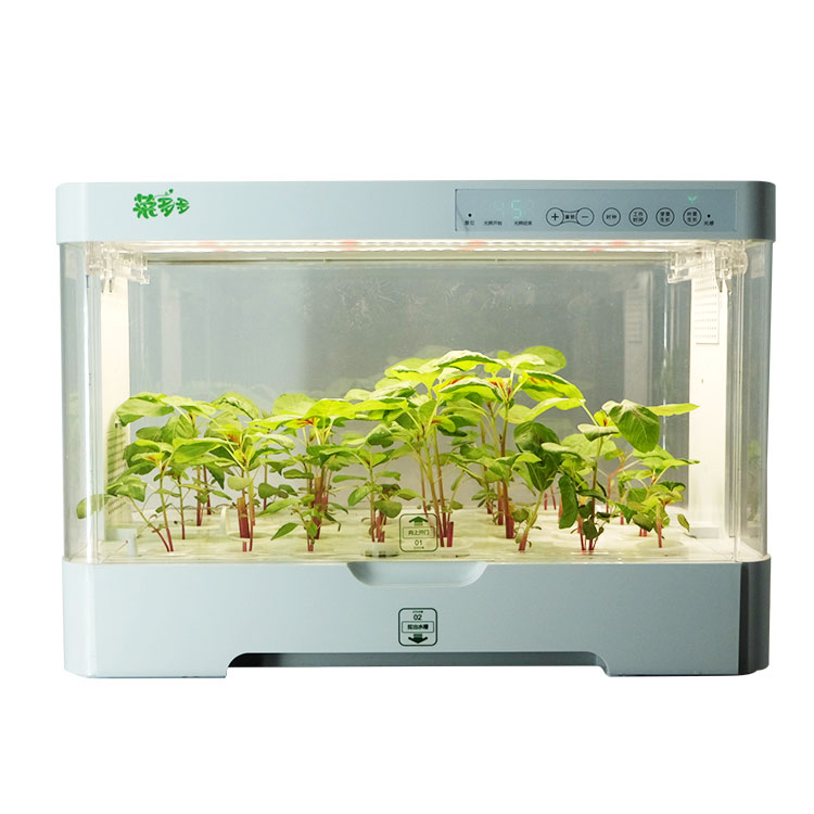Small Indoor Intelligent Plast - đánh giá và giá Hydroponic Kit
