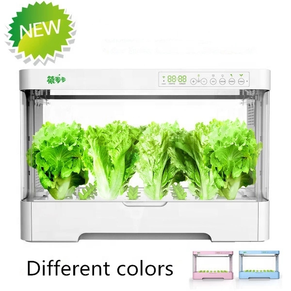 Small Indoor Intelligent Plast - đánh giá và giá Hydroponic Kit