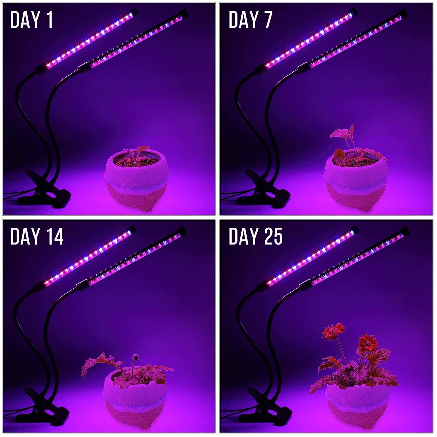 USB LED Plant Grow Light Indoo - đánh giá và giá Indoor Herb Garden