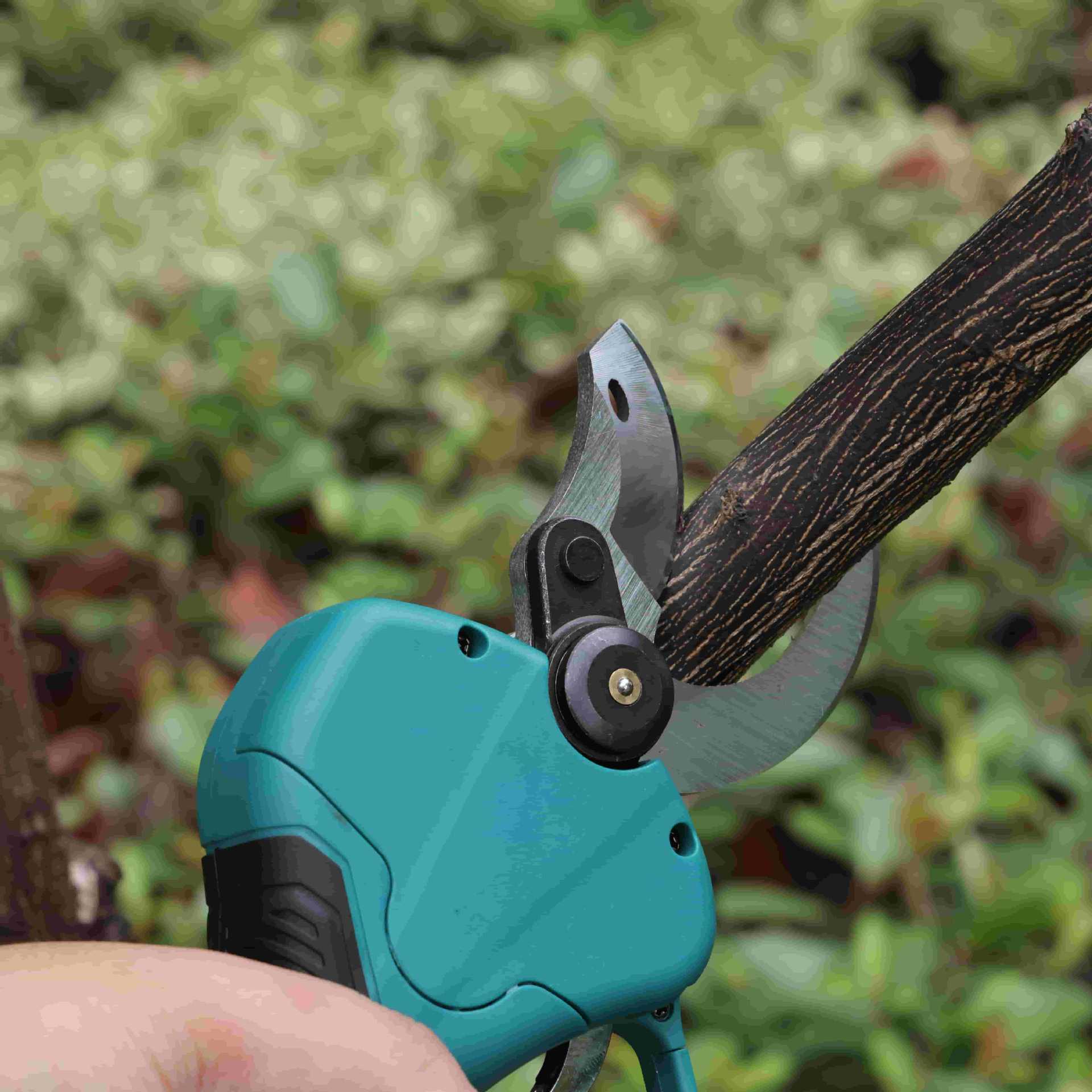 High pole garden pruning shear - đánh giá và giá Pruning Shears