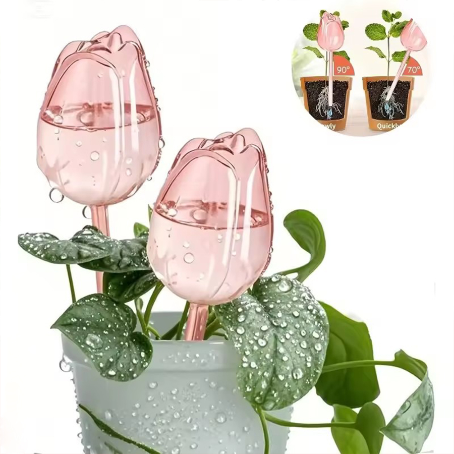 Transparent Thick PET Tulip Sh - đánh giá và giá Self Watering Planter