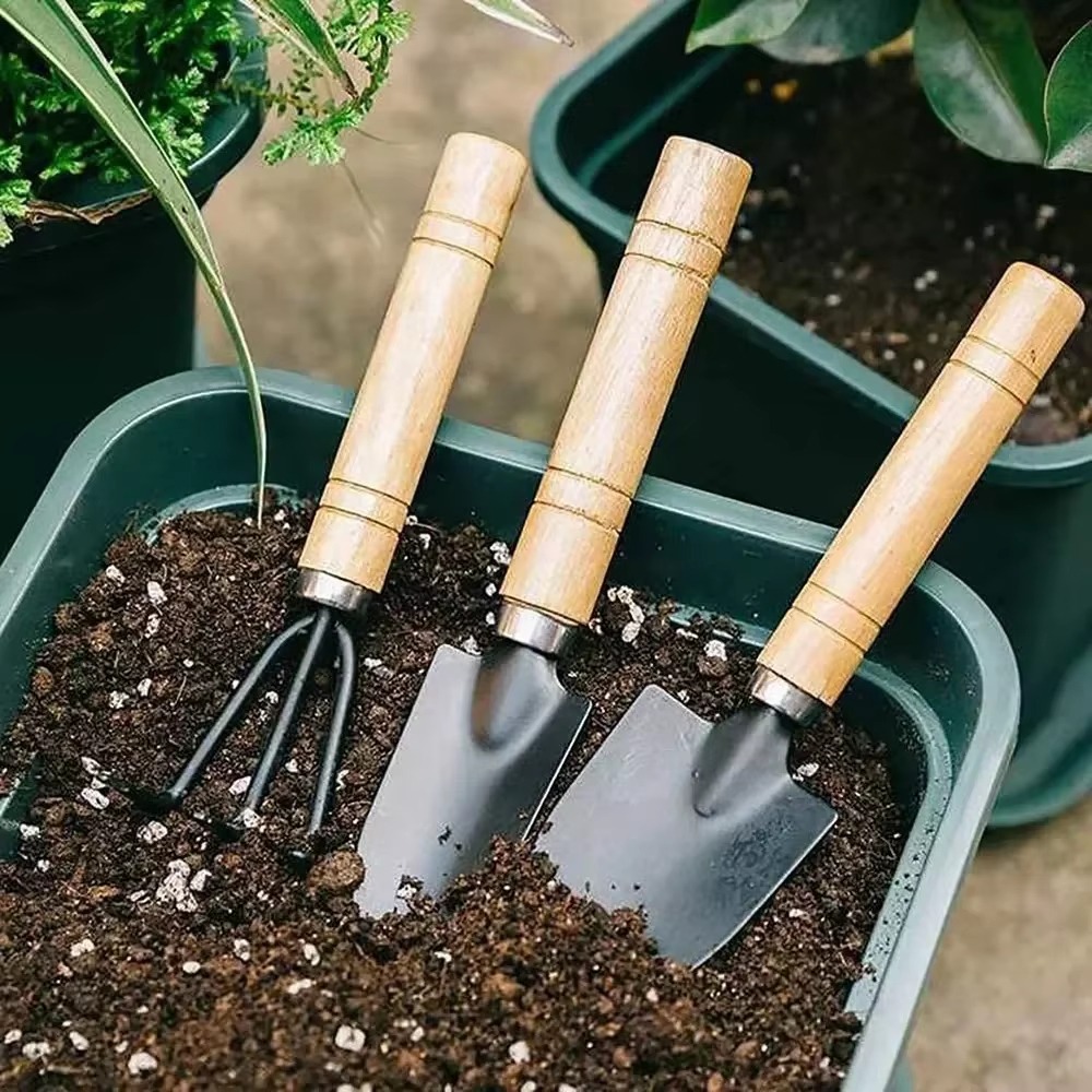 3Pcs/Set Mini Garden Tool Set  - đánh giá và giá Indoor Herb Garden