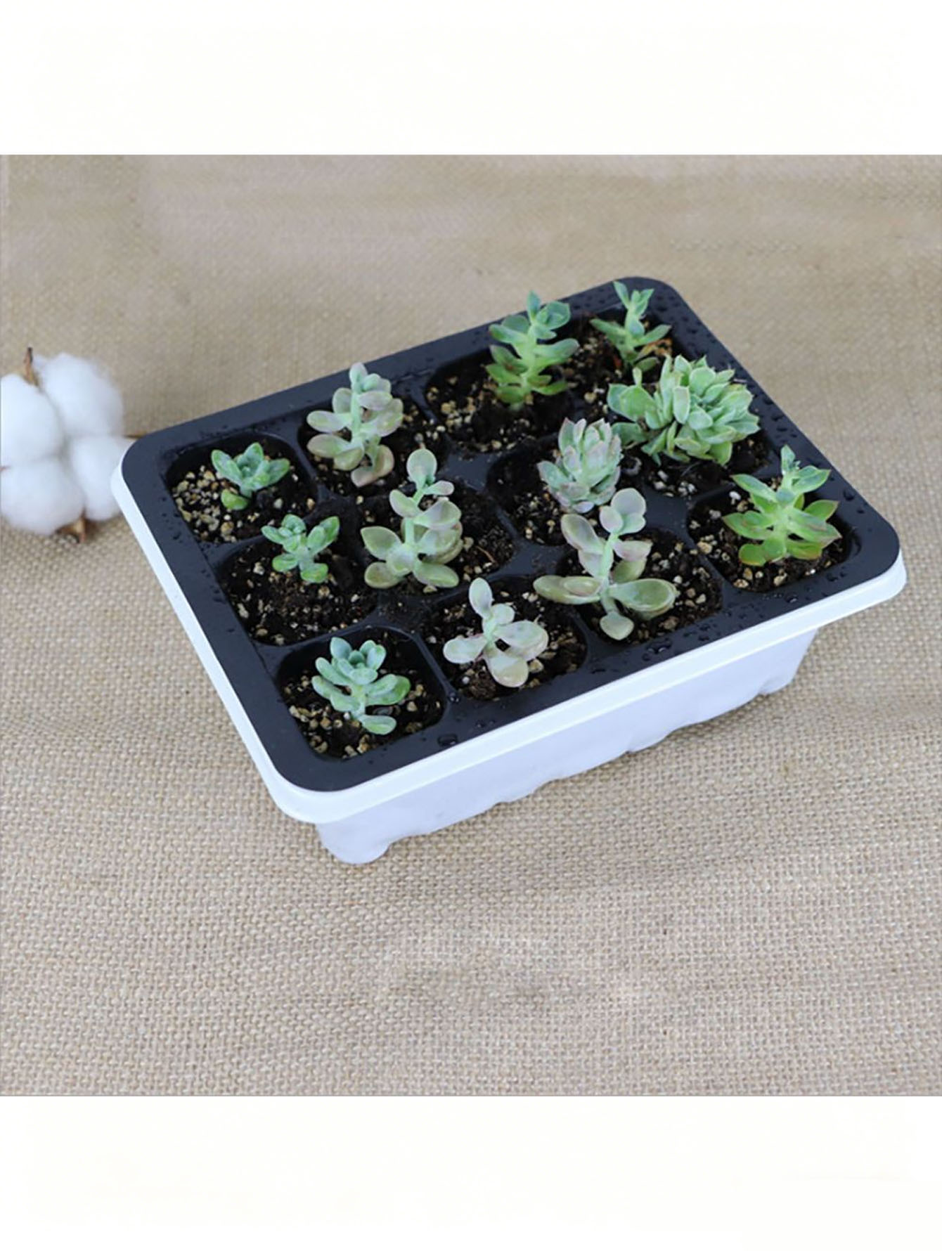 1/2pc 6/12-Hole Seedling Tray, - đánh giá và giá Seed Starter Tray