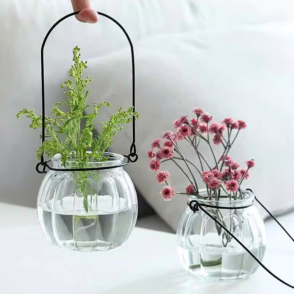 6 pcs Wall Mounted Indoor Hang - đánh giá và giá Vertical Planter