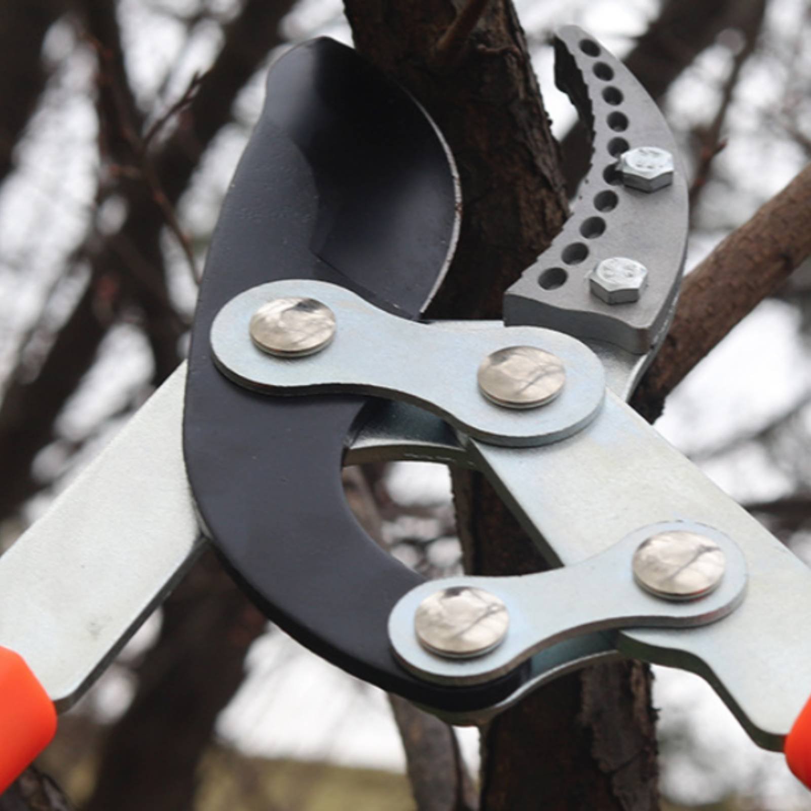 Telescopic Branch Pruners Shar - đánh giá và giá Pruning Shears