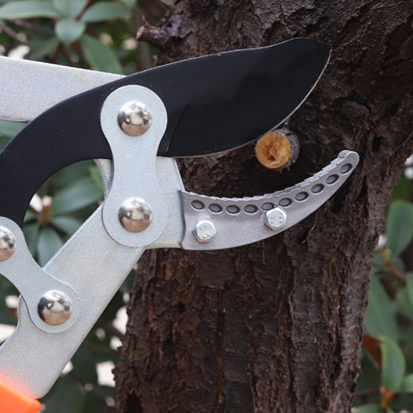 Telescopic Branch Pruners Shar - đánh giá và giá Pruning Shears