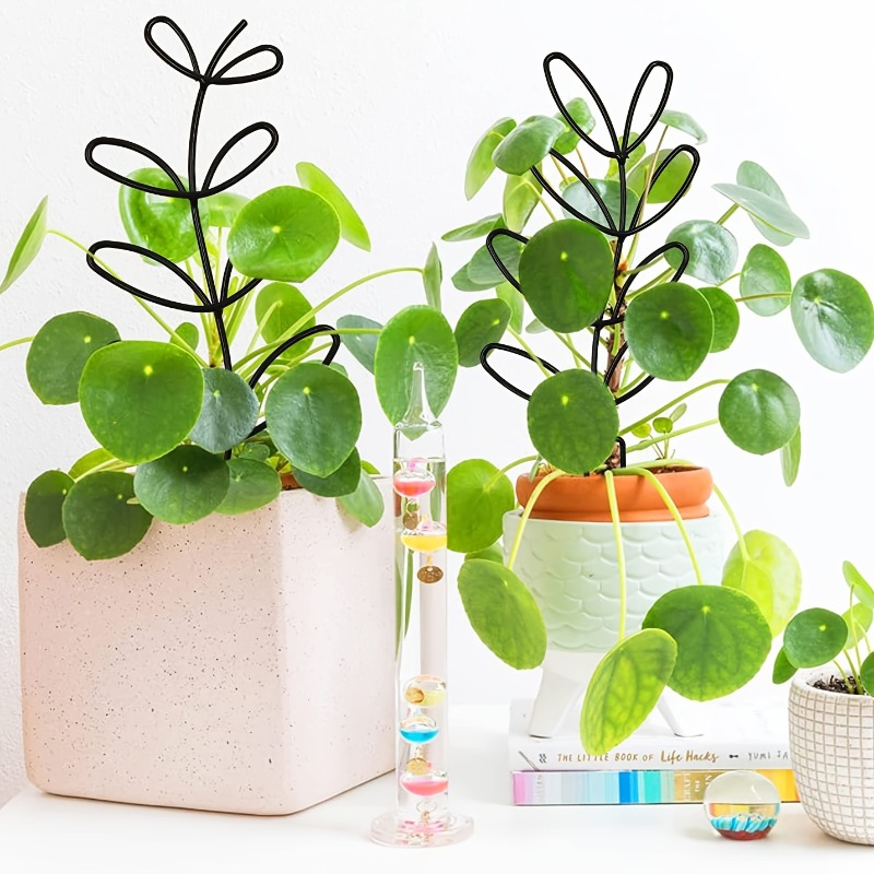 3Pcs Plant Support Frame Climb - đánh giá và giá Indoor Herb Garden