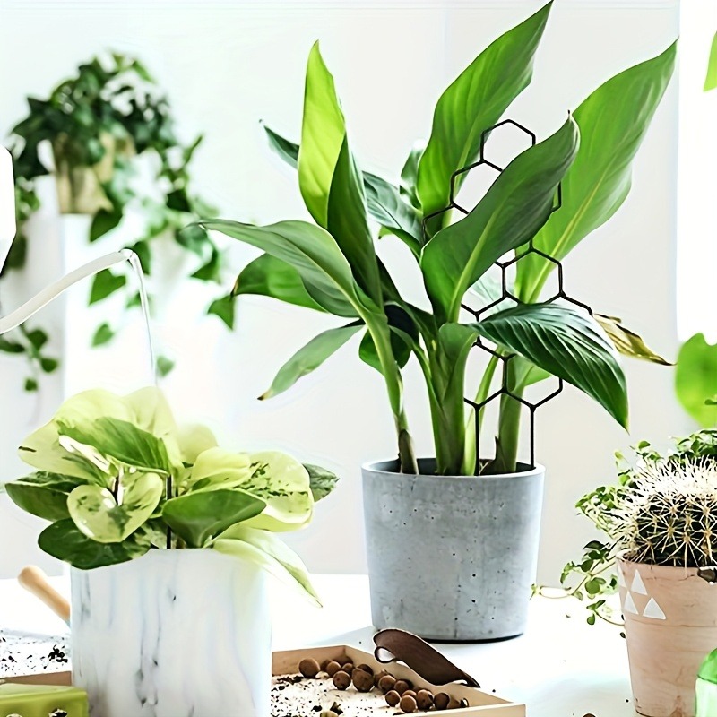 3Pcs Plant Support Frame Climb - đánh giá và giá Indoor Herb Garden