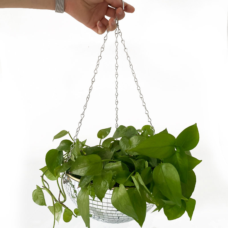 Disco Mirror Ball Hanging Flow - đánh giá và giá Indoor Herb Garden