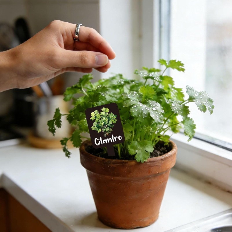 24pcs Plant Label Set Herb Gar - đánh giá và giá Indoor Herb Garden